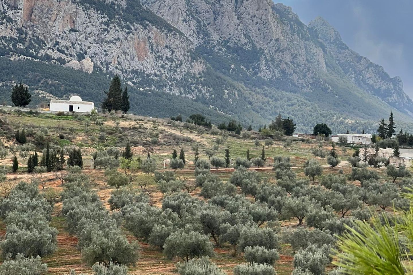 Au pied de Djebel Ressas slider-image